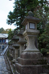 Linternas de piedra en jardín japonés 