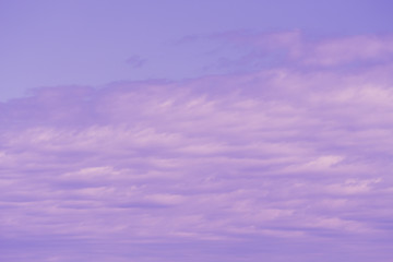 Pastel color pink and purple sky at sunset. Blurred.