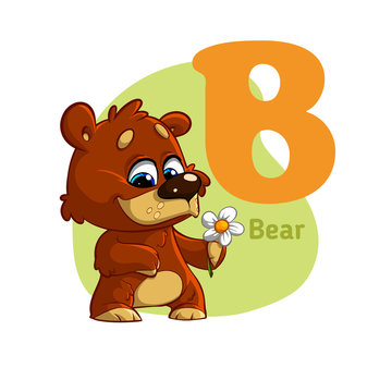 Bear ABC Alphabet