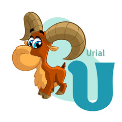 Urial ABC Alphabet