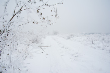 Dirt road in the winter