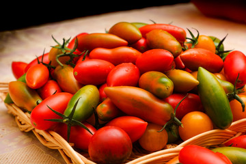Mix tomatoes in summer day. Composition of variety fresh tomatoes.