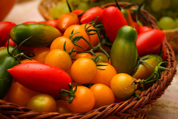 Mix tomatoes in summer day. Composition of variety fresh tomatoes.