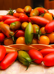 Mix tomatoes in summer day. Composition of variety fresh tomatoes.