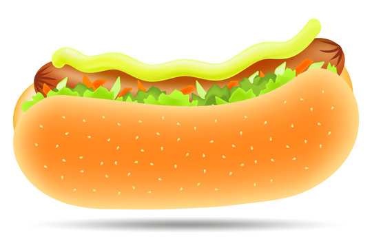 Vector drawing.Concept fastfood. Picture hotdog, isolated on white background.