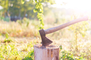 ax clogged in a stump at dawn