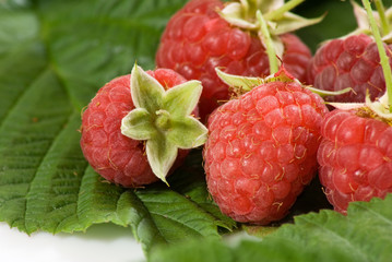 bunch of ripe raspberries lies on the leaves close-up