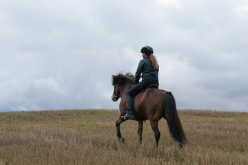 Icelandic horse riding