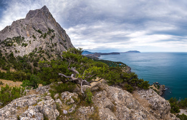Fototapeta na wymiar Mountain coast of the sea in Crimea