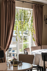 Big window with view of summer backyard