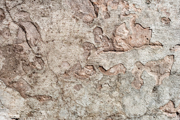 Texture of a concrete wall with cracks and scratches which can be used as a background