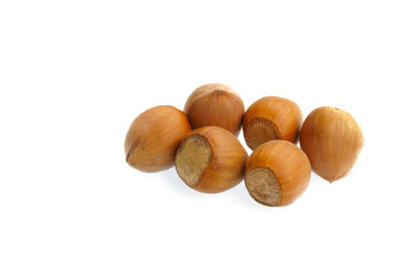 six hazelnuts on a white background