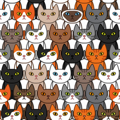 Many different сute cats background