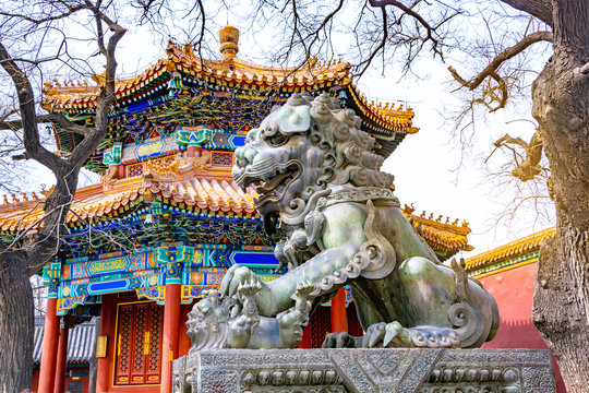 Bronze Chinese Guardian Lion statue in Yonghegong Temple (Lama Temple) in Beijing, China