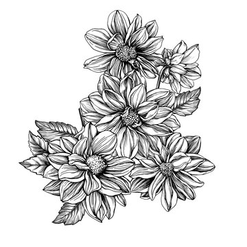 Autumn bouquet with Dahlia flowers. Black and white outline illustration hand drawn work isolated on white background.