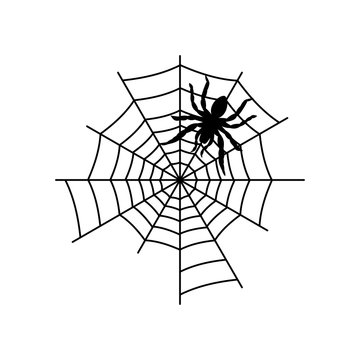 Spider and spider black silhouette icon for halloween decoration. Spider net or cobweb vector illustration.