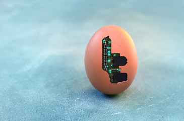 Cybernetic organism concept with semiconductor microchip inside the egg shell. Copy space.