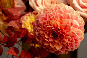 Floral composition of dahlia flowers, roses and autumn leaves. Arty, bright red and pink color  bouquet of flowers on a grey background 