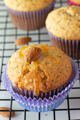 Homemade lemon muffins with poppy seeds and almond in paper case. White background. Selective focus.