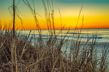 sunrise over the ocean with orange, yellow, and blue sky reflected in the ocean with seagrass in the immediate foreground. A horizontal photograph. Photographed in North Myrtle Beach South Carolina.