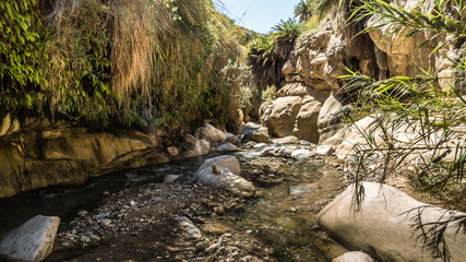 Kanion Wadi Bin Hammad