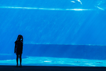 A little girl is looking fishes in a huge aquarium