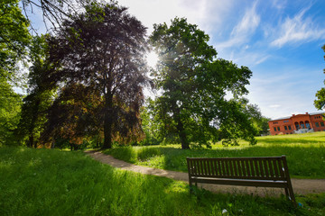 sunbeams trough two trees