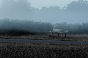 Bench in the Mist