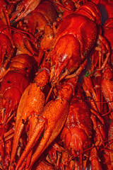 Freshly boiled red crayfish close-up. Traditional Russian beer snack.