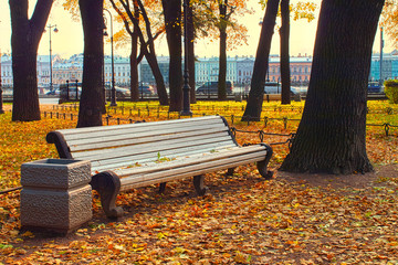 Golden autumn in city garden