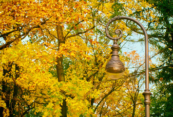 Beautiful street lamp on background of autumn leaves