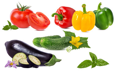tomato,eggplant ,pepper, basil and cucumber  isolated on white background