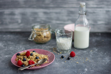 Muesli and milk for breakfast