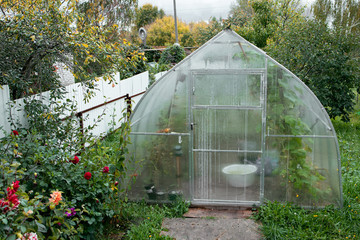 View of greenhousein the garden. The end of season. Autumn harvest. Farmer family business. Sale and delivery vegetables. Garden Tools. GMO Free. Eco friendly food. Plastic material.