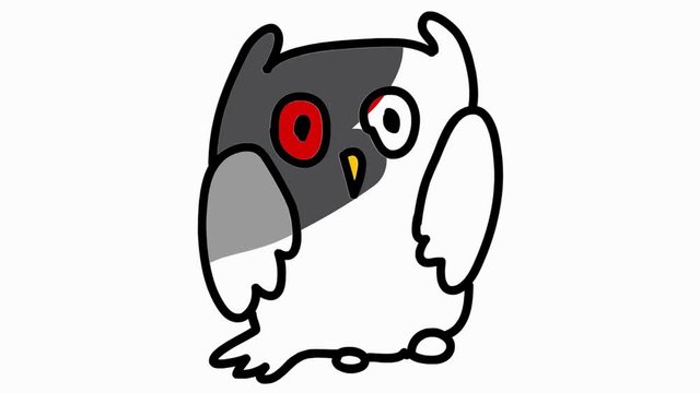 owl hand drawn animation line sketch with transparent background
