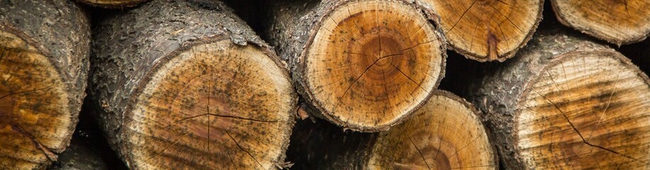 banner of Background of dry chopped firewood logs stacked up on top of each other in a pile