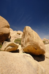 Joshua trees and Gneiss Rocks in and around Joshua Tree national park bordering the Colorado and...
