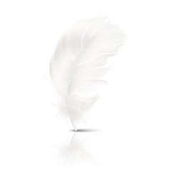 Vector 3d Realistic Falling White Fluffy Twirled Feather with Reflection Closeup Isolated on White Background. Design Template, Clipart of Angel or Detailed Bird Quill