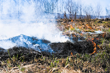 Fototapeta premium fire on field