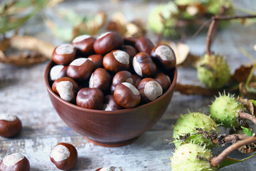 Chestnuts in a bowl. Chestnut leaves. Autumn composition with chestnuts.