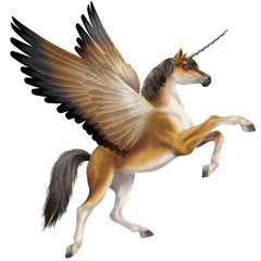Obraz na płótnie Canvas cheval volant, étalon, jument, licorne, en vol, en vol, beige volant, sauvage, illustration, nature, joli, art, animal ,dinosaure, ailes, noir, 
