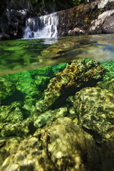 Naklejka na ściany i meble Underwater view of the Cetina River, Croatia