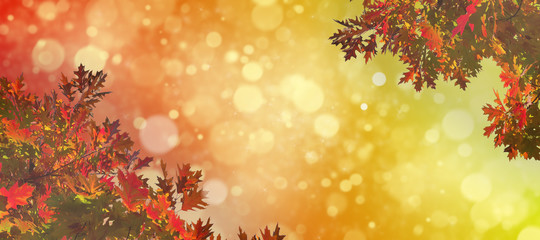 Tree leaves in autumn. Autumn nature landscape background.  Banner background with copy space, toned and blurred