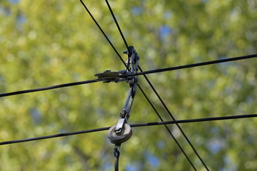 Obraz premium Crossed electricity cables of a tram in front of a green background in Berlin-Germany.