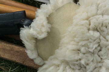 White sheepskin texture.White wool texture. Natural fluffy fur sheep wool. Sheepskin Background.