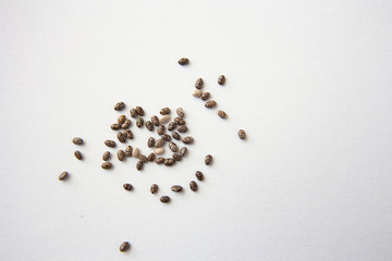Chia seeds on a white background