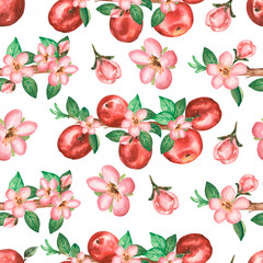 Watercolor hand drawn seamless pattern with branch of  apple flowers, leaves and red apples. beauttiful modern background.