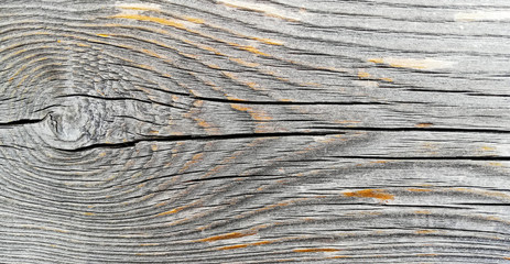 texture of old wood plank