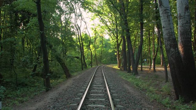 A Railway In The Forest