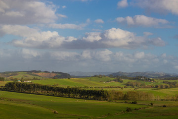 Fototapeta na wymiar green hills of North island of New Zealand